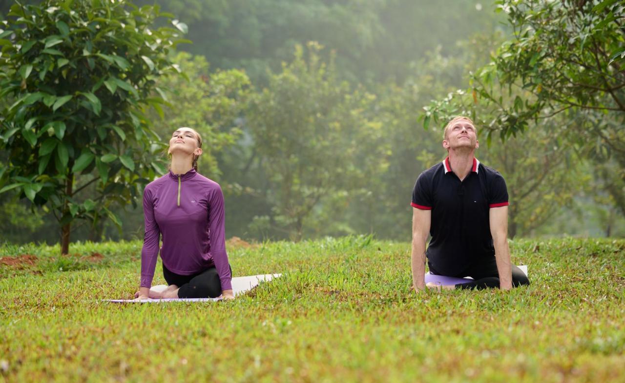 Vallikavungal Tigris Valley Holistic Wellness Resort المظهر الخارجي الصورة