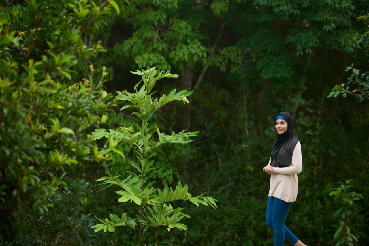 Vallikavungal Tigris Valley Holistic Wellness Resort المظهر الخارجي الصورة